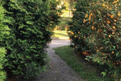 Vand casa unifamiliala - 7