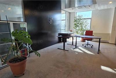 Splaiul Unirii - TImpuri Noi inchiriere spatiu birouri 7 locuri de parcare terasa - 19