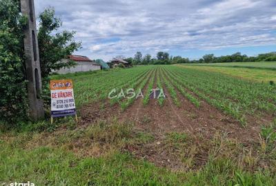 Teren de 7500 mp, în Bălești - 4