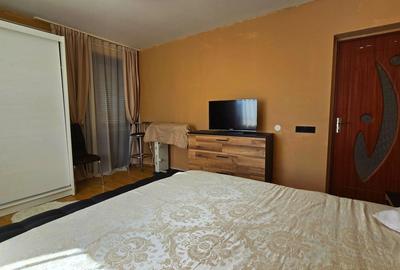 Vila ta aproape de natura – 8 camere, Lacul Pasarea - 44