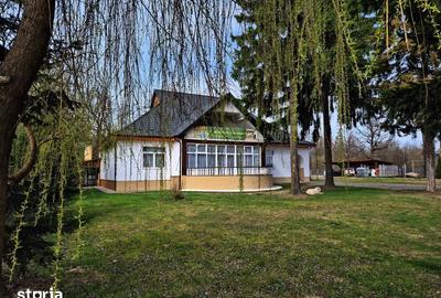 Casă cu 9 camere cu Teren 3500 Mp în Ocna Șugatag - 7