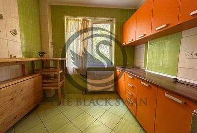 Apartament cu 3 camere semidecomandat, mobilat în Cina - 9