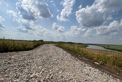 Teren Frumusani | RATE 24 LUNI | Utilitati | Investitie | D.N. 4 - 7