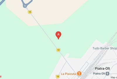 Teren agricol extravilan de 65000 mp, în Central - 1