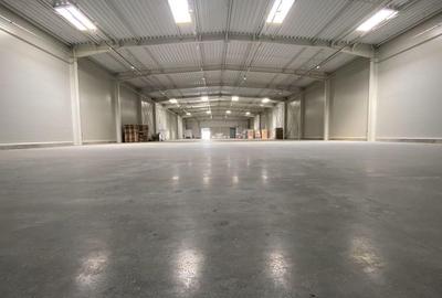 Hala complet echipata, nou construita langa aeroportul interna?ional Traian Vuia - 15