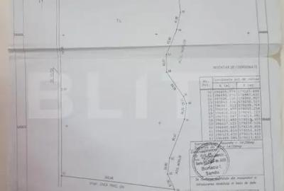 Teren de 141356 mp, în Lipănești - 2