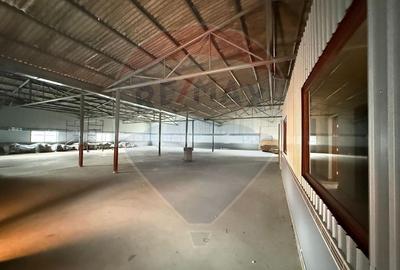 Spațiu industrial, de 520 mp, în Exterior Est - 9