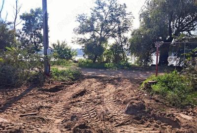 Ocazie! Ilganii de Jos, Nufaru, Intravilan, liber, pe malul Dunarii - 6