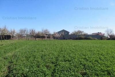 Teren constructii zona Lacu Sarat, suprafata 3393 mp, 22 eu - 2