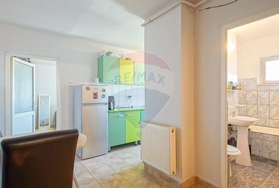 Apartament cu 3 camere decomandat, mobilat în Bartolomeu - 17