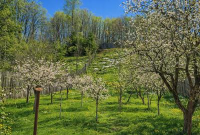 Casă individuală cu 7 camere cu Canalizare în Malaia - 5