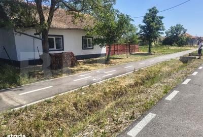 Casă cu 3 camere în Central