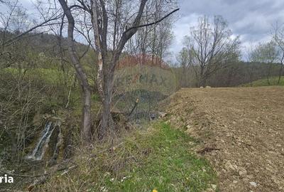 Spațiu comercial, în Chirițeni - 10