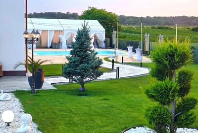 Vila petrecere petreceri private cu piscina, FARA VECINI, nunta, botez, cununie, majorat, aniversare - 5