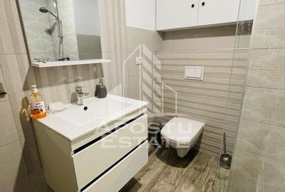 Apartament cu 3 camere decomandat în Malul Mureșului - 10