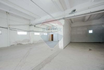 Spațiu industrial, de 1,230 mp, în Exterior Vest - 19