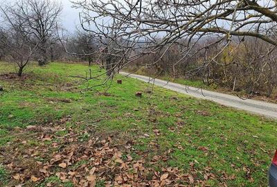 RECO Teren  in Oradea - 8