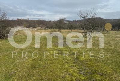 Teren agricol intravilan de 1305 mp, în Vest - 1