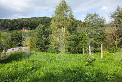 Teren de 2000 mp, în Feleacu - 7