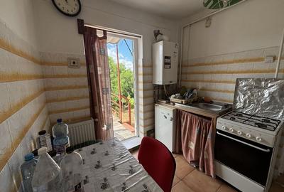 Casa cu 2 apartamente zona Mehala - 9