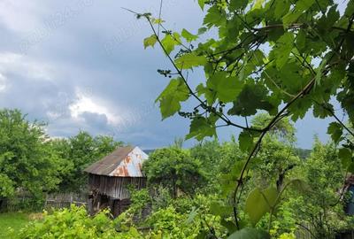 Teren de 800 mp, în Corbi - 4