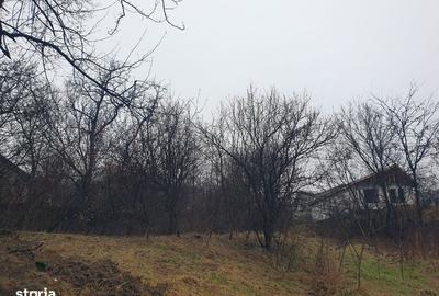 Teren de 1000 mp, în Copou - 5