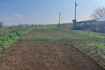 Teren TUNARI  600 mp - 6