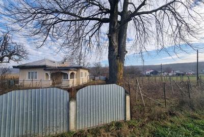 Casa + teren 2600 mp- Com. Negri- scop rezidential sau industrial - 1