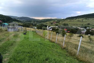 Teren de 1000 mp, în Central - 5