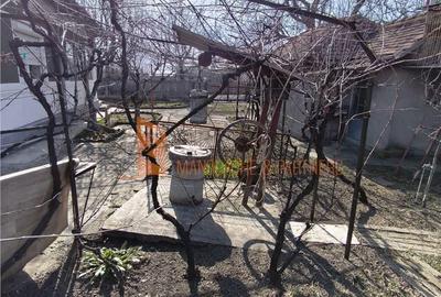 Casă cu 4 camere cu Teren 773 Mp în Pietroasele - 2