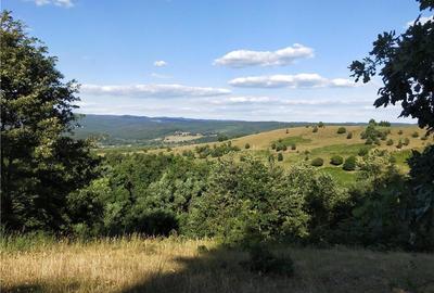 Casă cu 3 camere în Brusturi - 4