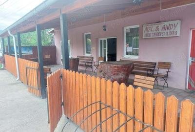 Vand casa cu afacere la cheie Vand casa cu afacere la cheie - 4