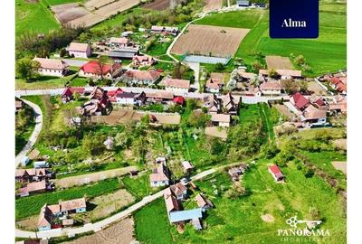 Teren agricol intravilan de 725 mp, în Alma - 14