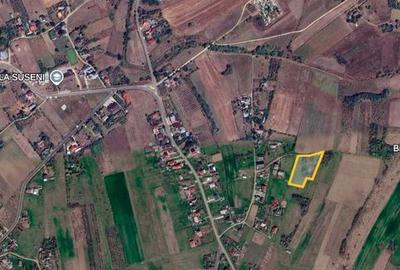 Teren de 5000 mp, în Central
