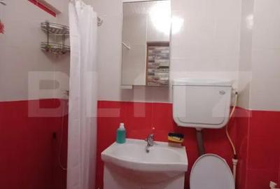 Apartament cu 2 camere semidecomandat în Central - 2