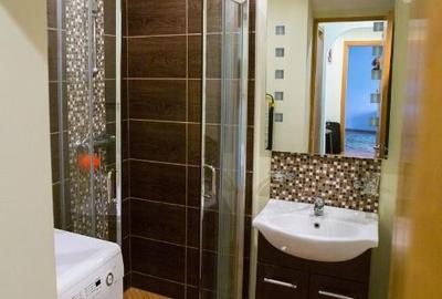 Apartament cu 2 camere de inchirat in zona Gorjului - 4