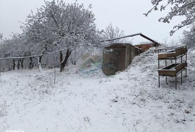 Casă cu 4 camere cu Teren 4863 Mp în Coșna - 12