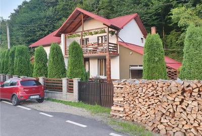 Casă cu 5 camere cu Teren 1258 Mp în Brad - 2