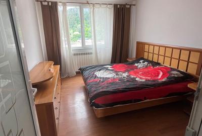 Apartament cu 3 camere decomandat în Tomești - 4