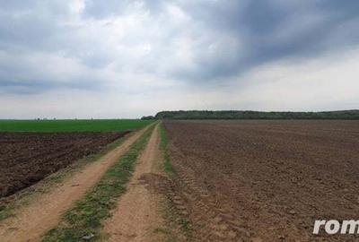 Teren de 27500 mp, în Belciugatele - 2