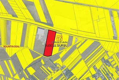 Teren de 51000 mp, în Bolintin-Deal