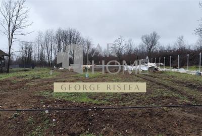 Teren Construcții intravilan de 590 mp, în Sud - 4