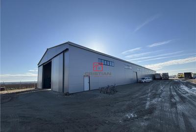 Depozit/hala/spatiu industrial Bolintin Deal - A1 - KM23 - 1