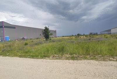 Teren de 10000 mp, în Afumați - 2