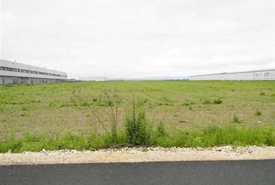 Teren pentru hale-Ghimbav-Joysonquin - 5