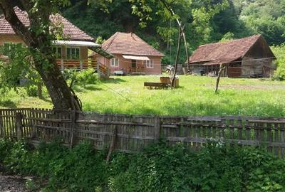 Casă cu 3 camere cu Teren 3200 Mp în Mihăileni - 7