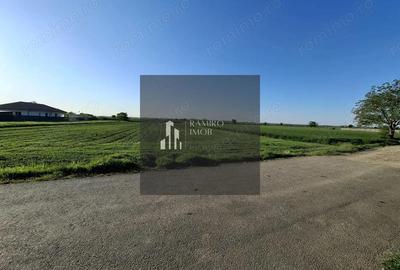 Teren de 3800 mp, în Dârza