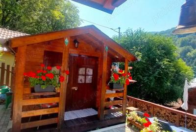 Casă cu 2 camere în Lăpuștești - 1