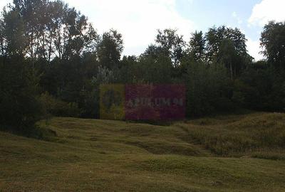 Teren intravilan de vanzare in Telega - 13