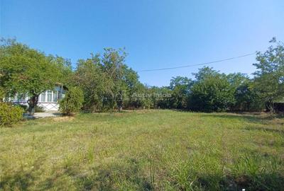 Casa Bila Ghimpati- Giurgiu - 3